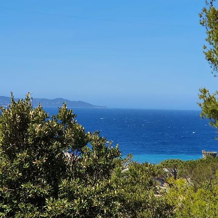 Les Gites Du Cap Corse 농자 외부 사진