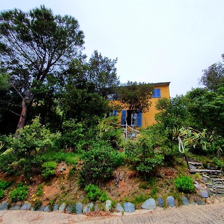 Les Gites Du Cap Corse 농자 외부 사진