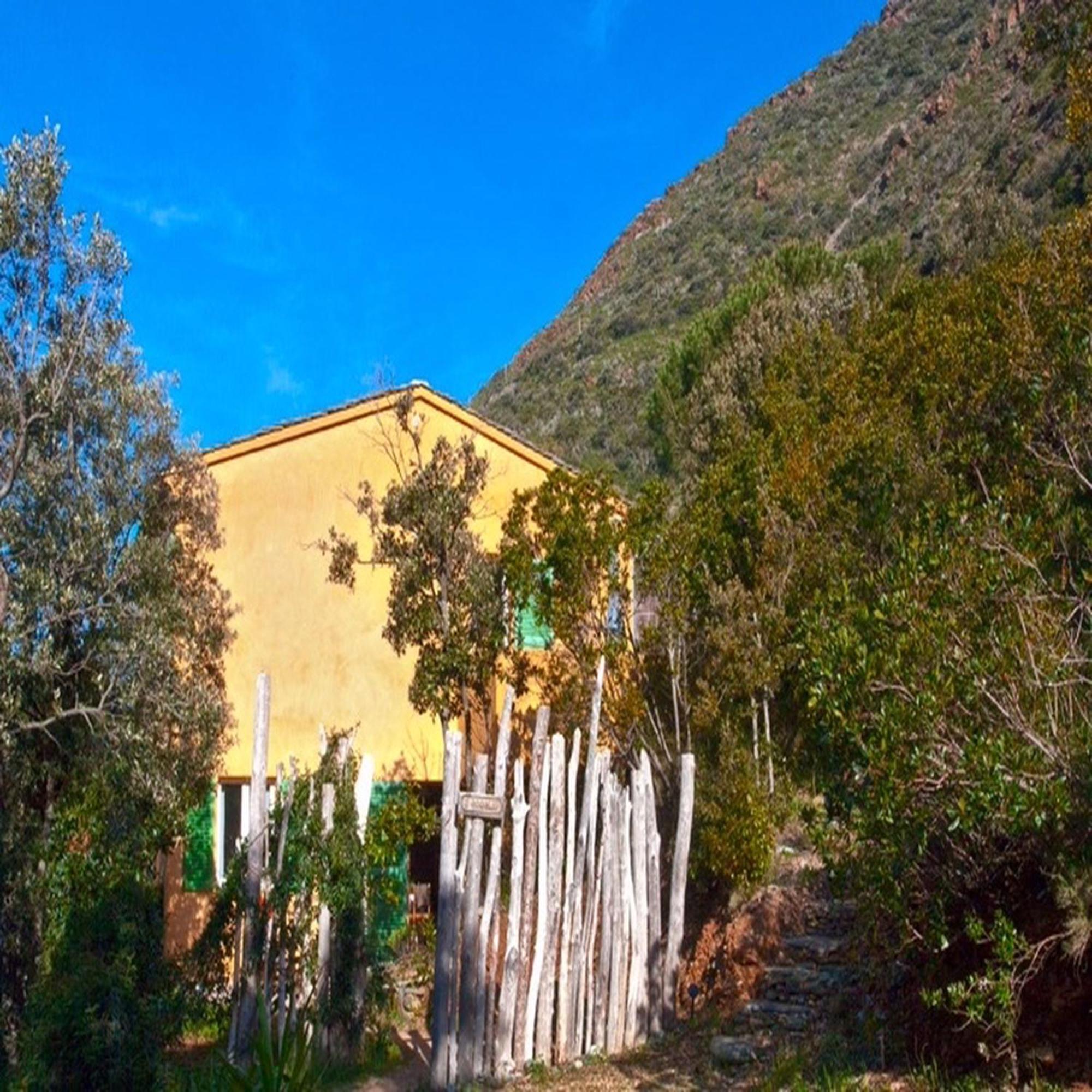 Les Gites Du Cap Corse 농자 객실 사진