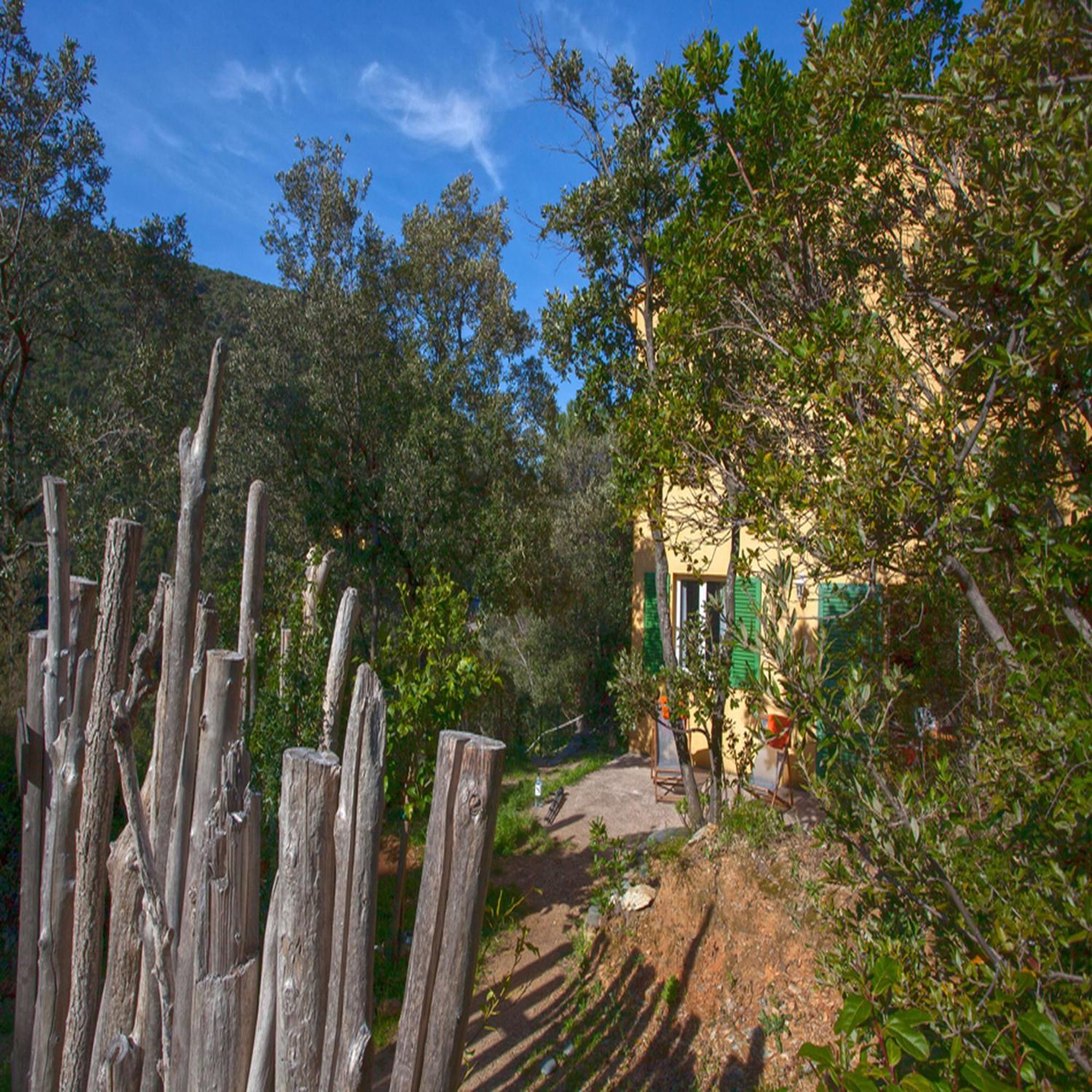 Les Gites Du Cap Corse 농자 객실 사진